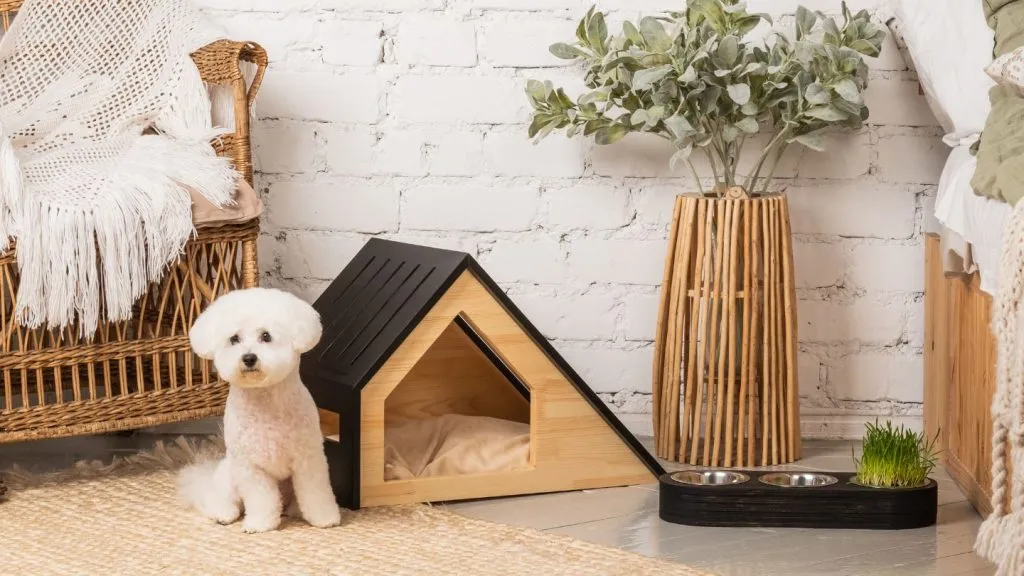 Small White Dog Sitting Beside Indoor Dog House